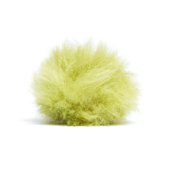 Weevee-The Greench_resize